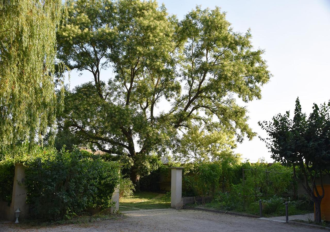 La Maison Des Invites Pernes-les-Fontaines Exterior photo